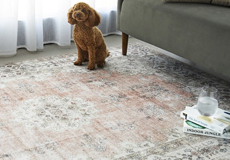 Kindred Washable Rugs | Stylish & Easy to Clean