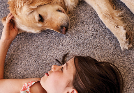 Top Living Room Flooring: Carpet, Hybrid, Timber Options